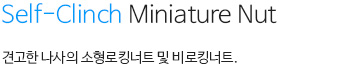 미니에츄어 내용